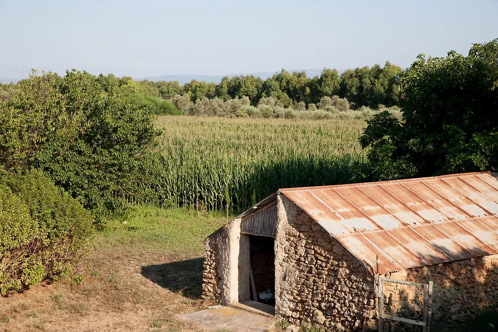Bed And Breakfast Nonna Pia Fertilia